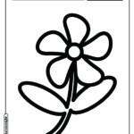 Flor para colorir