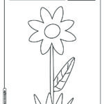 Flor para colorir