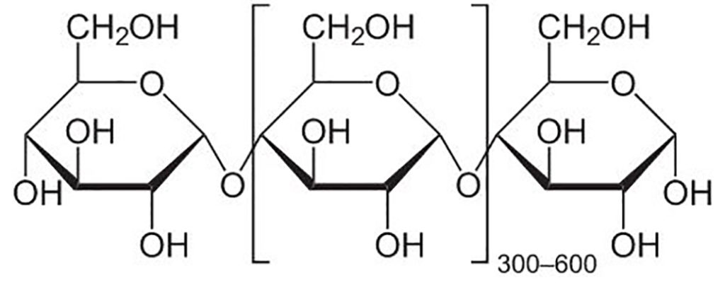Molécula de amido