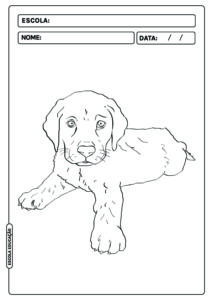 Desenhos De Cachorro Para Colorir Imagens Para Imprirmir E Colorir