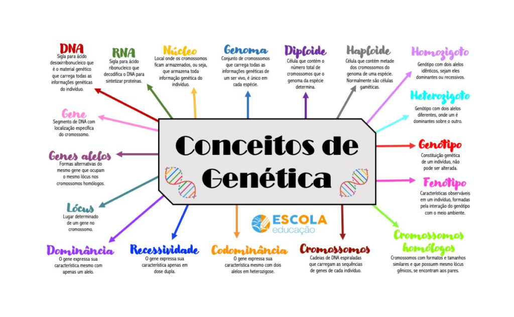 Mapa mental sobre Conceitos básicos em Genética - Baixe em PDF grátis!