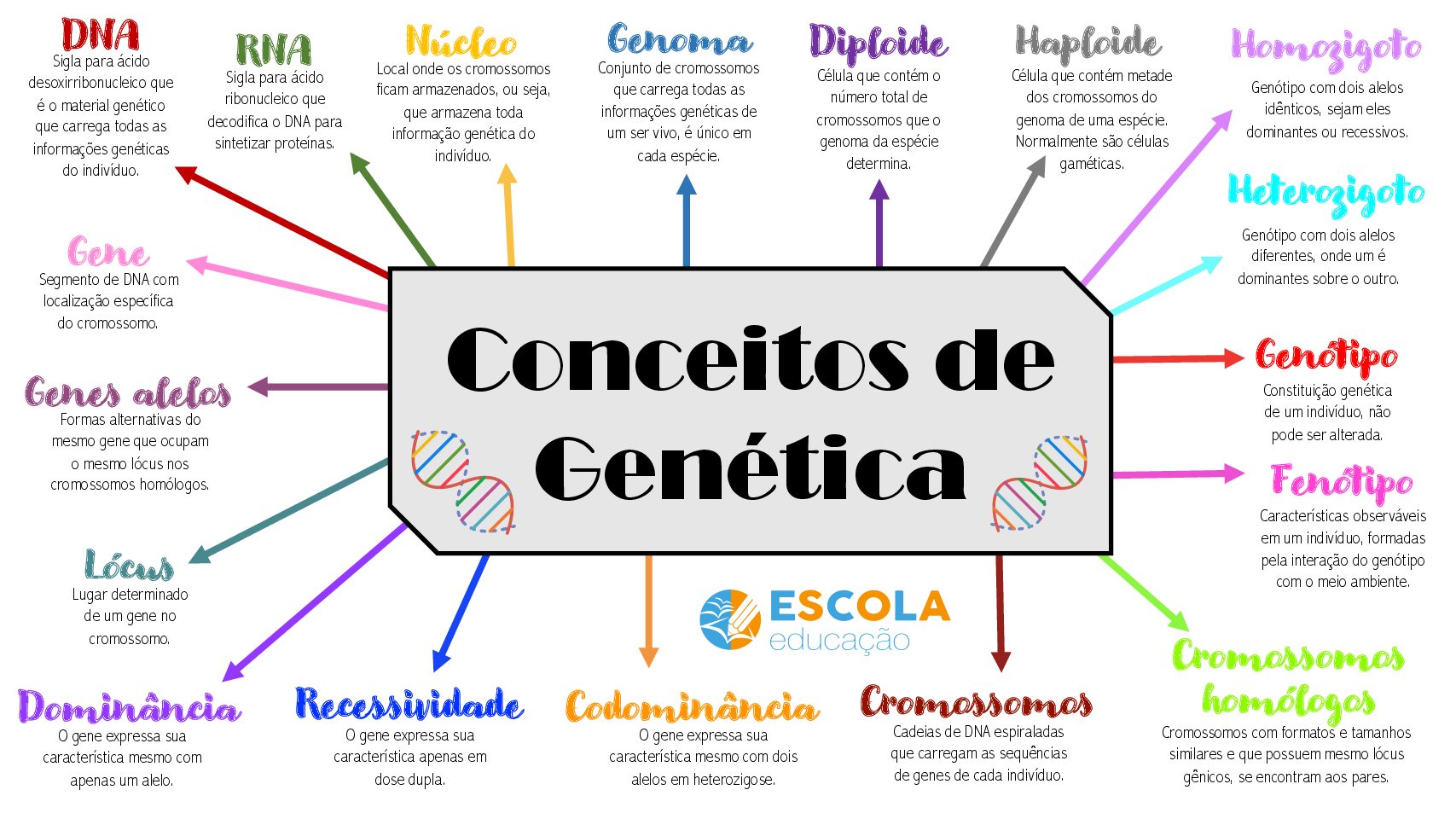 Mapa Mental - Conceitos Básicos De Genética - Escola Educação