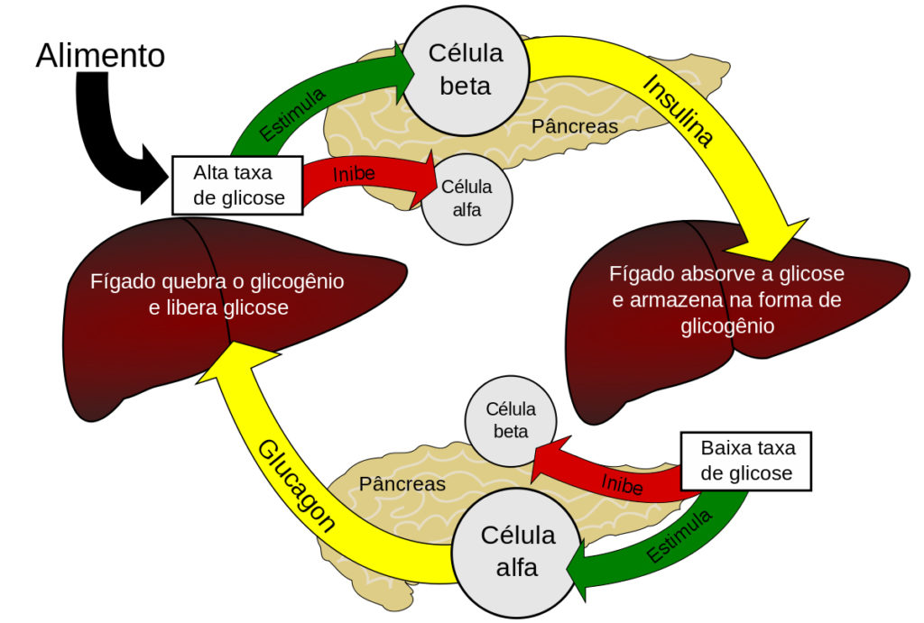 Metabolismo do glicogênio