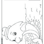 Boto cor de rosa para colorir