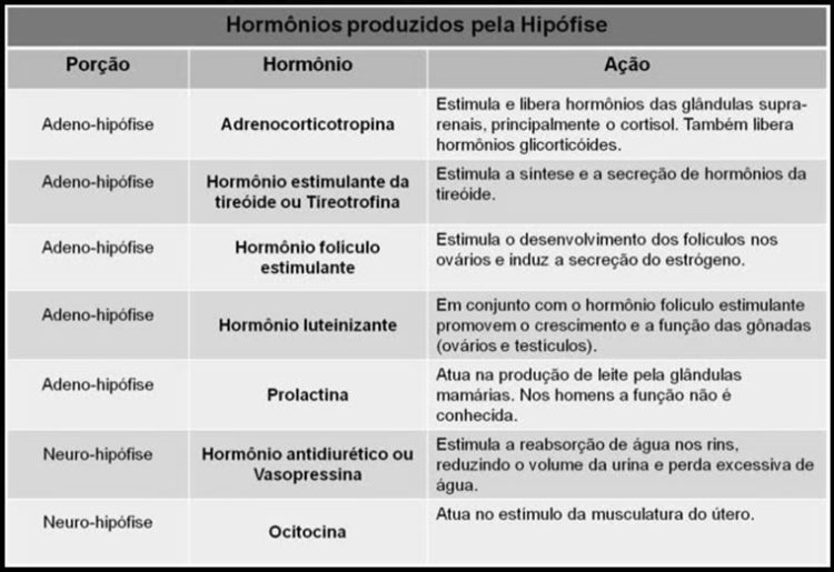 Glândulas endócrinas - Hormônios da hipófise