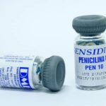 Antibiótico – Penicilina