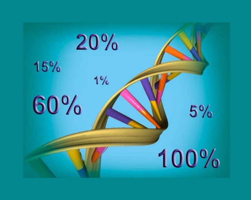 Probabilidade genética: regra do "e" e do "ou".