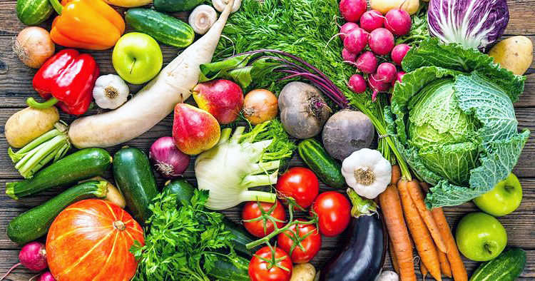Alimentos de origem vegetal
