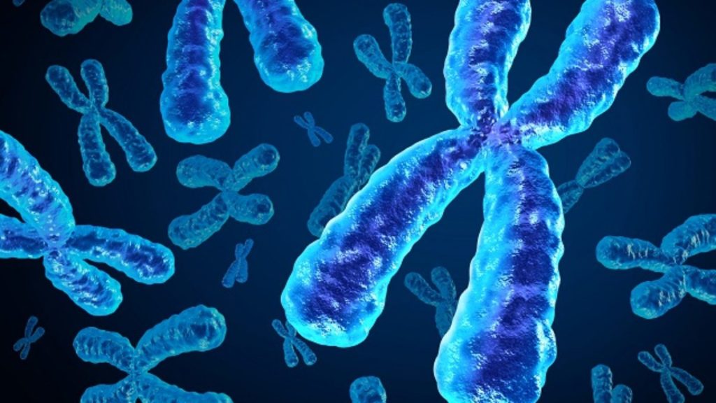 Cromossomos - Genes alelos