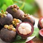 Mangostão