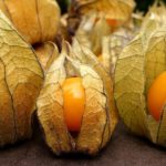 Fruta Physalis