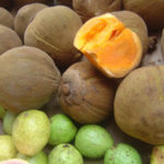 Fruta Sapota