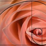 Sequência de Fibonacci