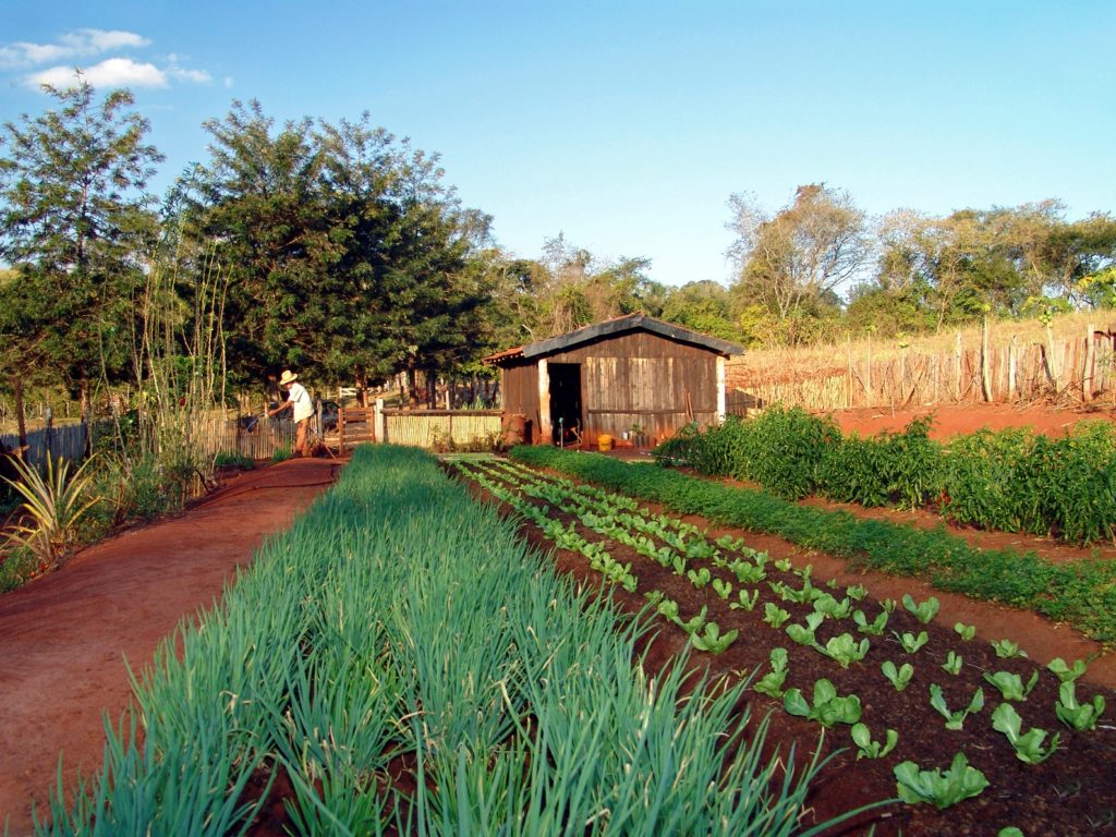 Agricultura