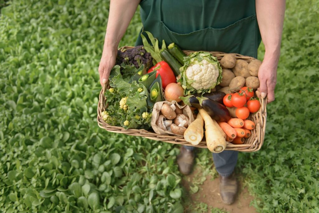 Alimentos orgânicos