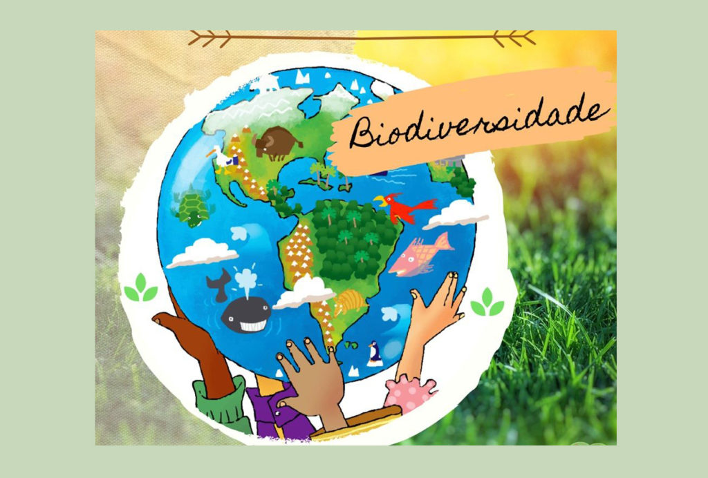 Biodiversidade