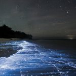 Bioluminescência na praia