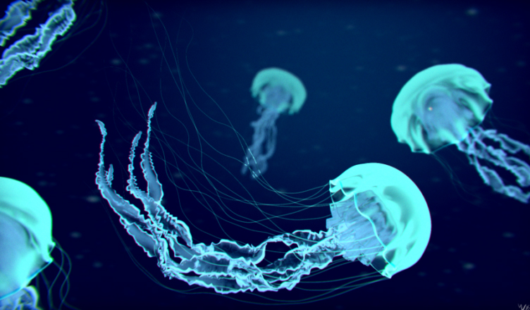 Bioluminescência - Água-viva