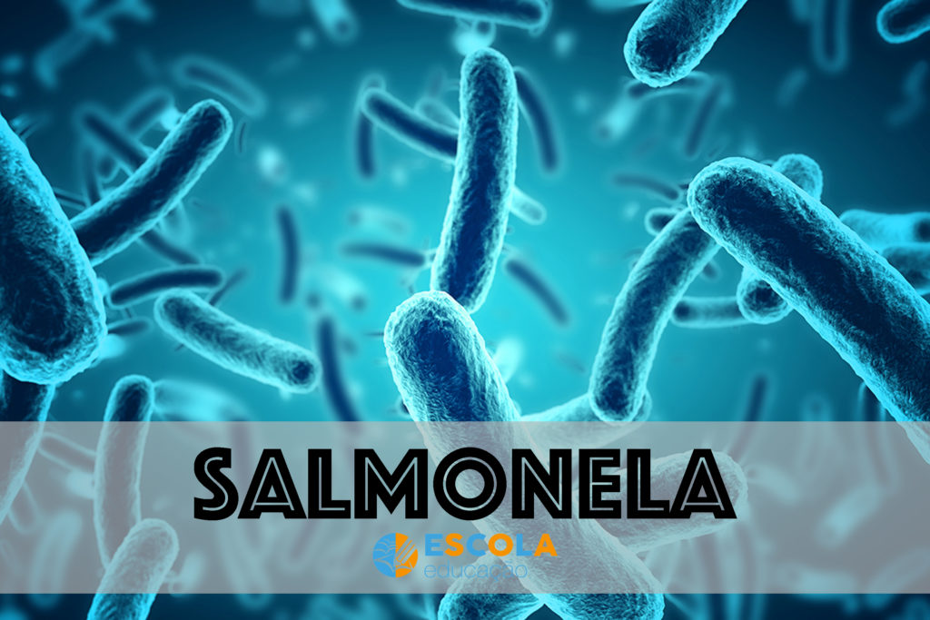 Salmonelose