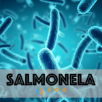 Salmonelose