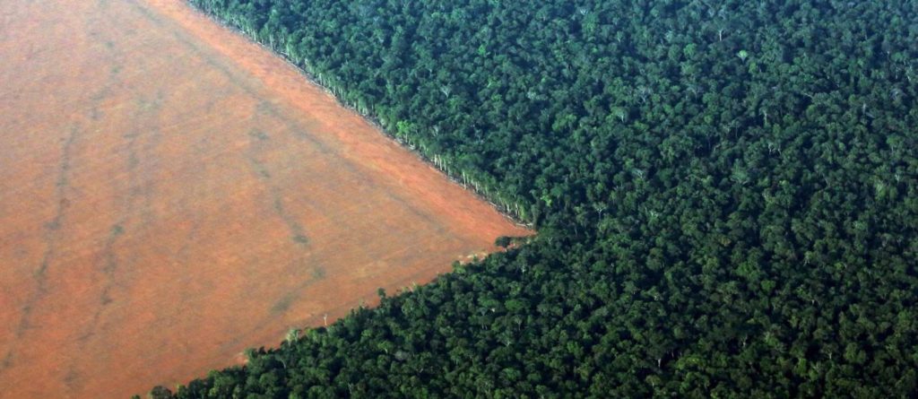 Desmatamento da Amazônia