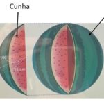 Elementos da esfera