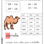 Ficha de leitura para alfabetização