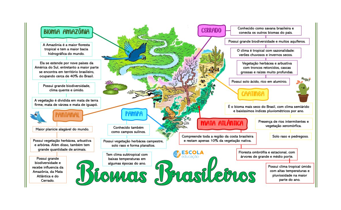 Mapa mental - Biomas brasileiros