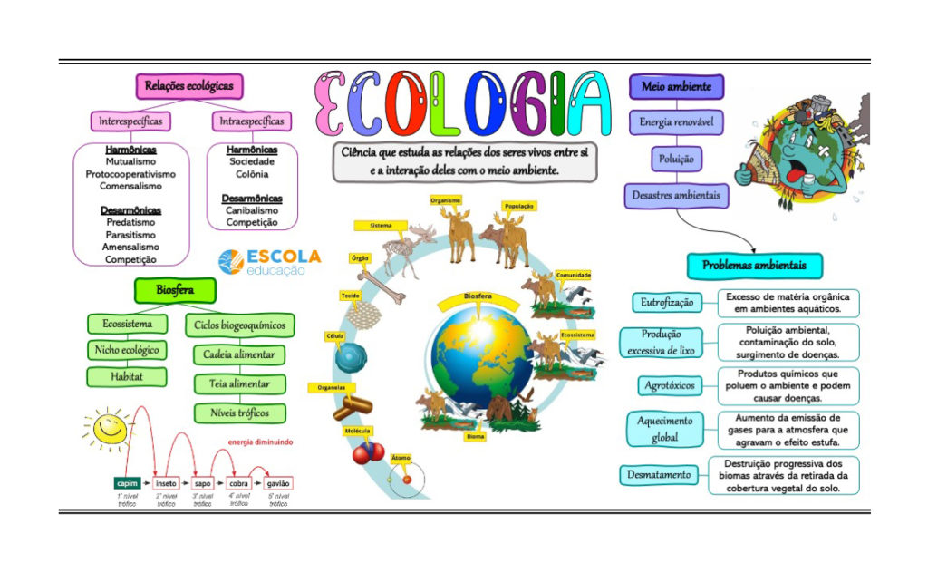 Mapa mental - Ecologia
