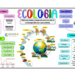 Mapa mental – Ecologia