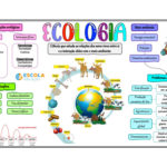 Mapa mental – Ecologia