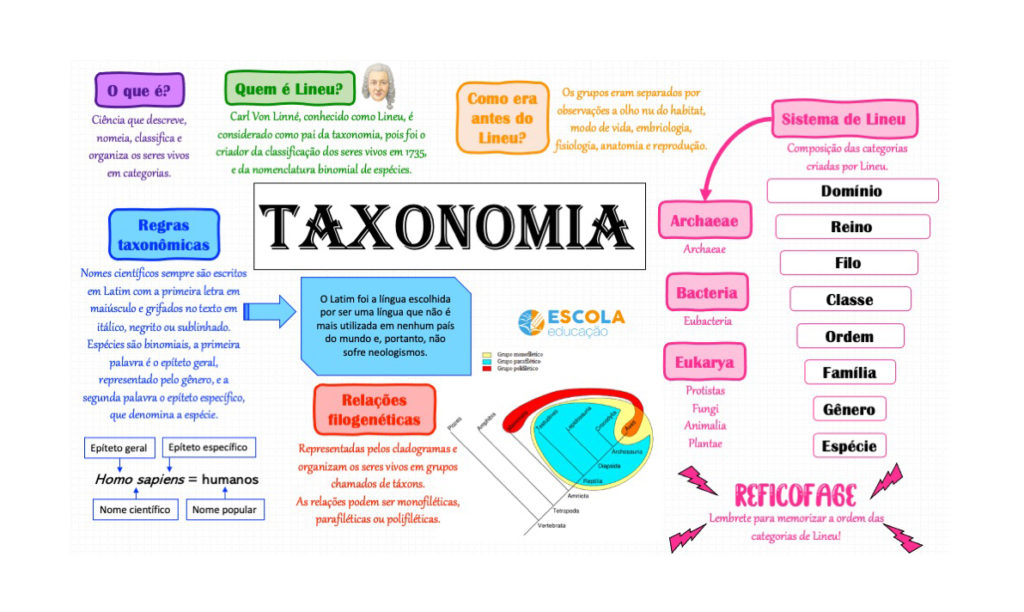 Mapa mental - Taxonomia
