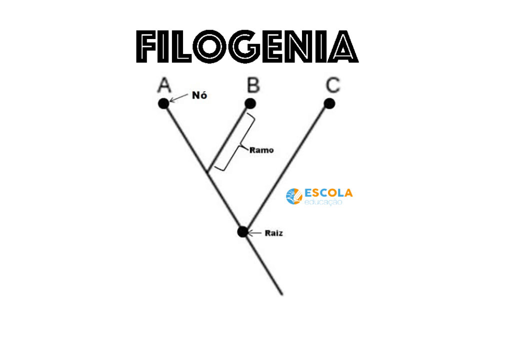 Filogenia