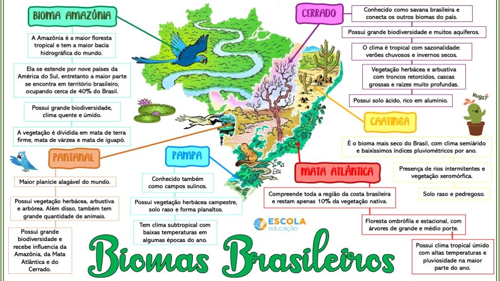 Mapa mental - Biomas brasileiros