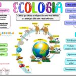 Mapa mental – Ecologia