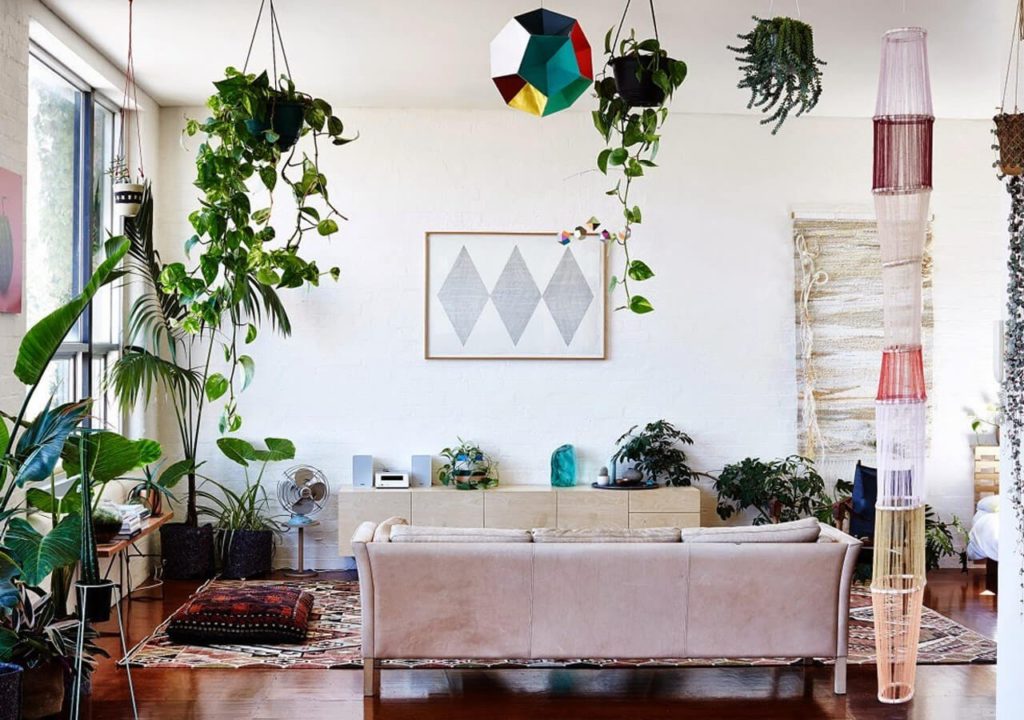 Plantas para dentro de casa