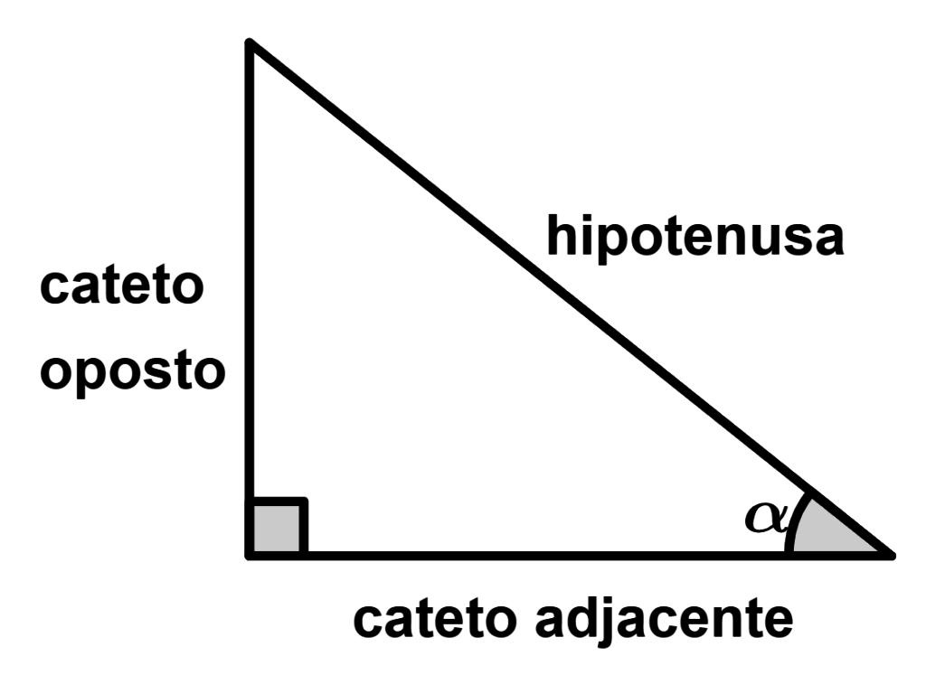 Cateto Oposto E Adjacente Como Calcular Brainstack