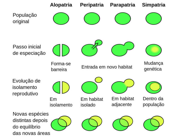 Especiação - O que é, tipos, alopátrica, simpátrica, parapátrica