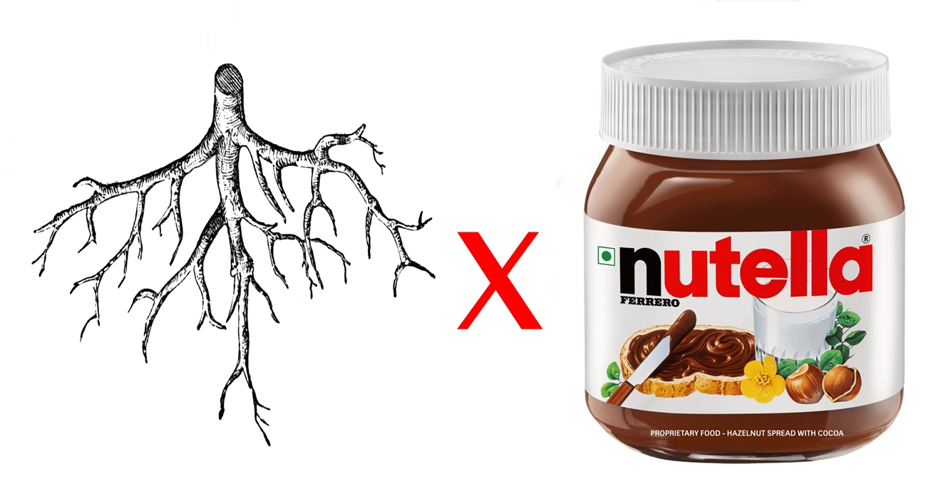 Raiz vs Nutella