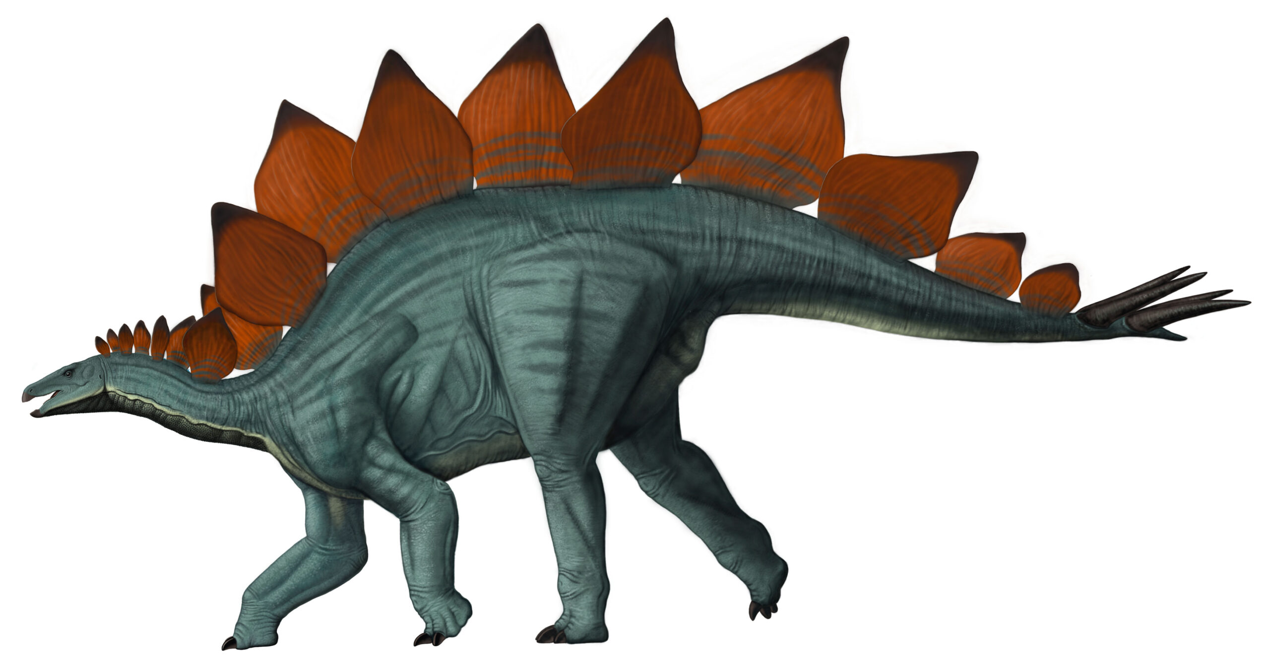 Antigo Pangolim Hadrosaur. Dinossauro Herbívoro Do Período