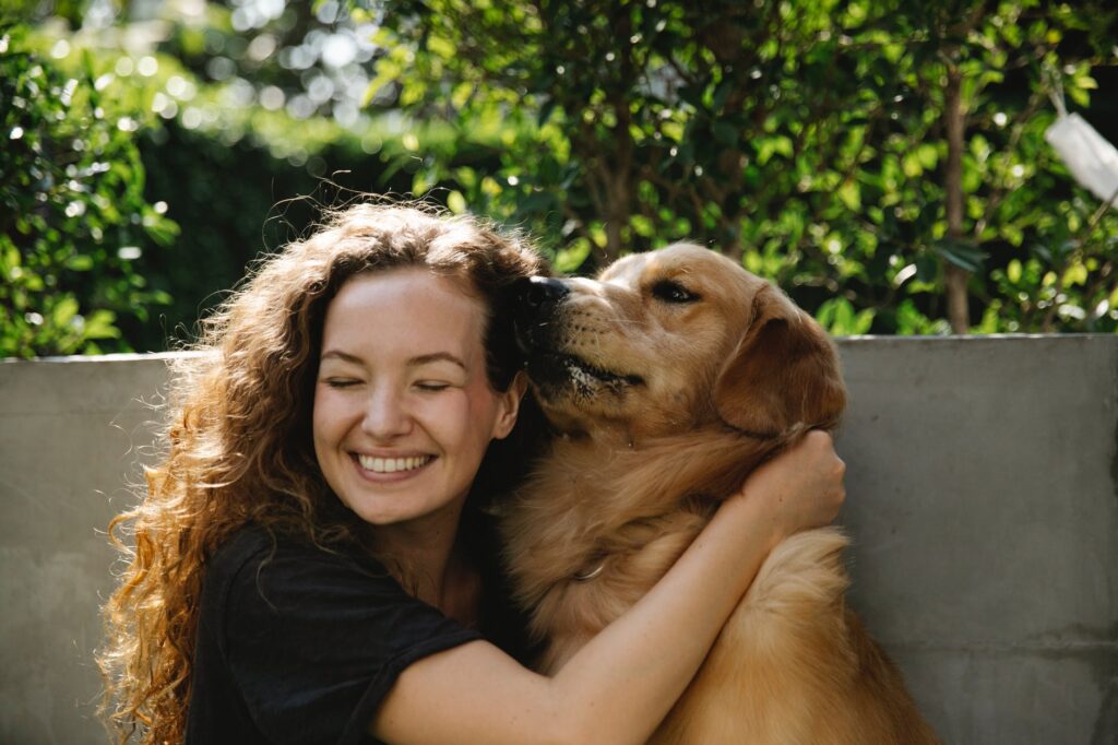 Ensine o seu cachorro a se comportar: adestrando cachorros bagunceiros em 5 passos.