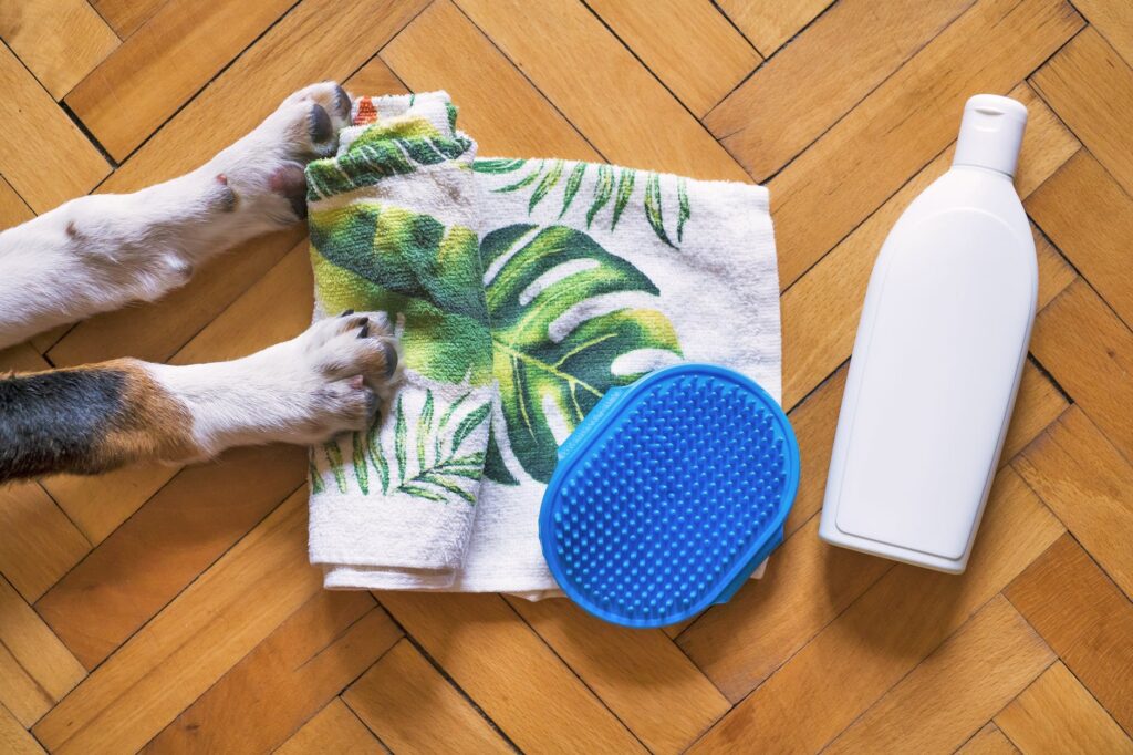 Aprenda como livrar seu pet dos carrapatos