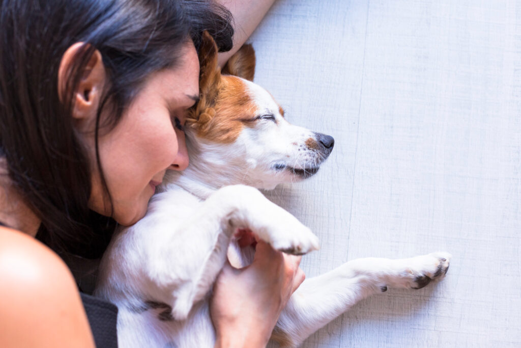 Raças de cães mais companheiras para pessoas com depressão