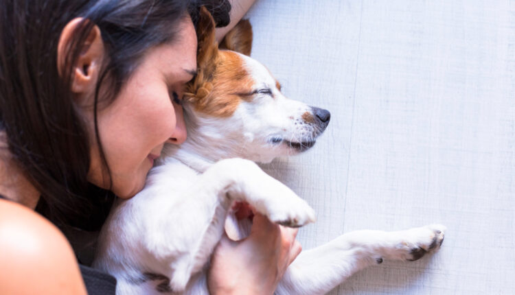 Raças de cães mais companheiras para pessoas com depressão