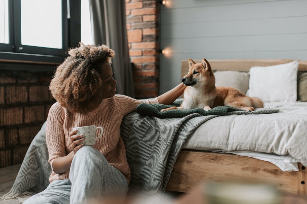 Saiba o que fazer para o seu cachorro parar de fazer xixi no chão de casa