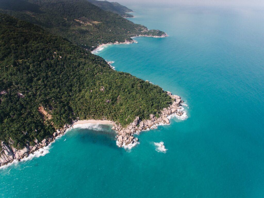 Confira o que determina comprar uma viagem para uma praia chique.