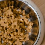 Alimentar-cães-uma-vez-por-dia-gera-mais-saúde