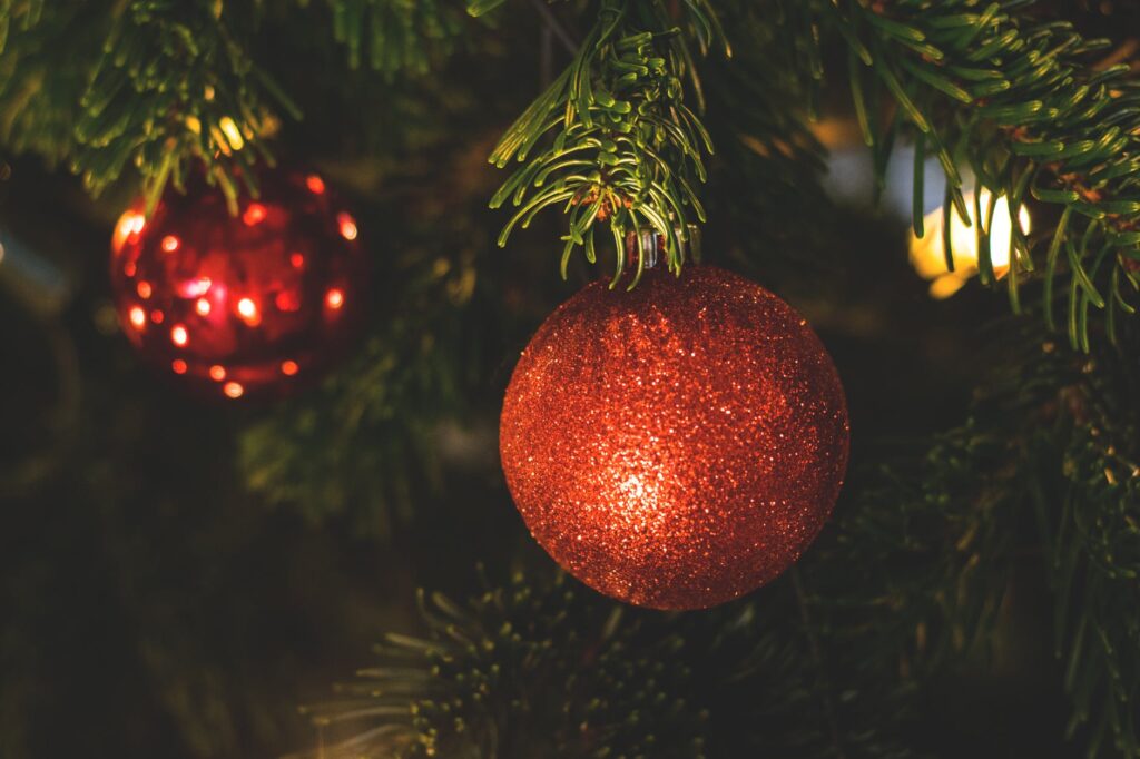 Como fazer sua própria árvore de natal sem gastar muito