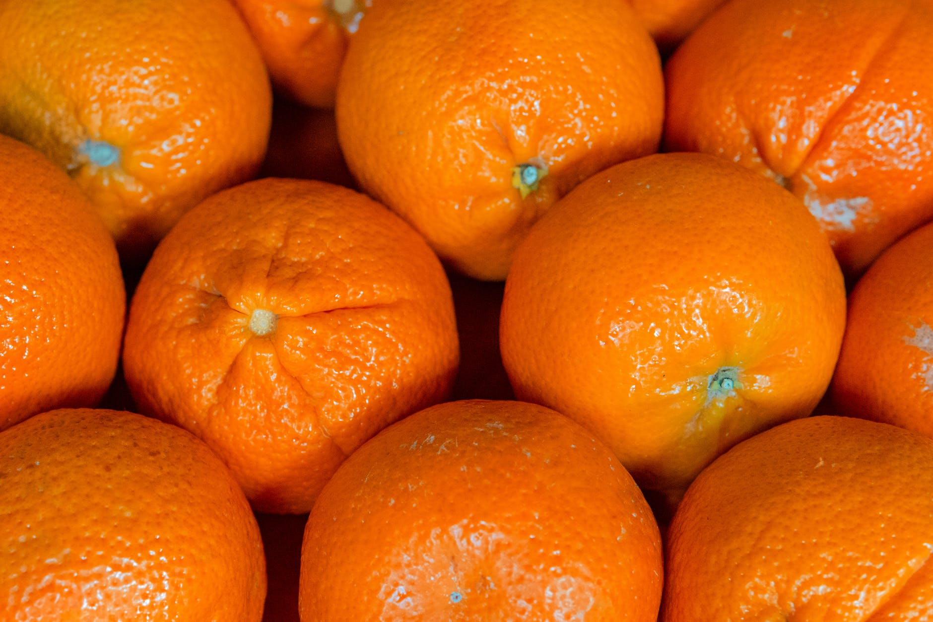Aprenda como cultivar o seu próprio pé de tangerina em casa