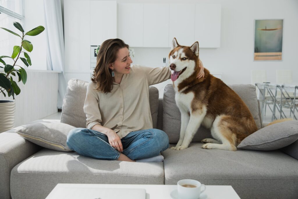 Cachorro sorrindo: entenda a expressão do seu pet.